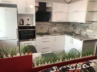 Апартаменты Apartment on Vatutina Винница Апартаменты с 1 спальней-5